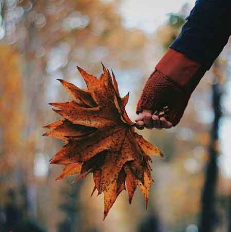 دانلود آهنگ بین خوشگلا سری آی امان امان امان علی رازقی